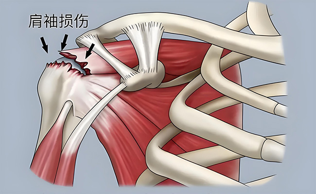 �����ʰ����ҽԺ